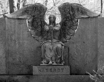 Angel Of Death Victorious Statue 11x14 Etsy