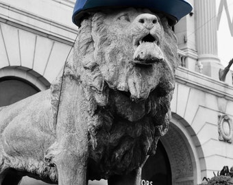 Chicago Cubs Lion at Art Museum-5x7