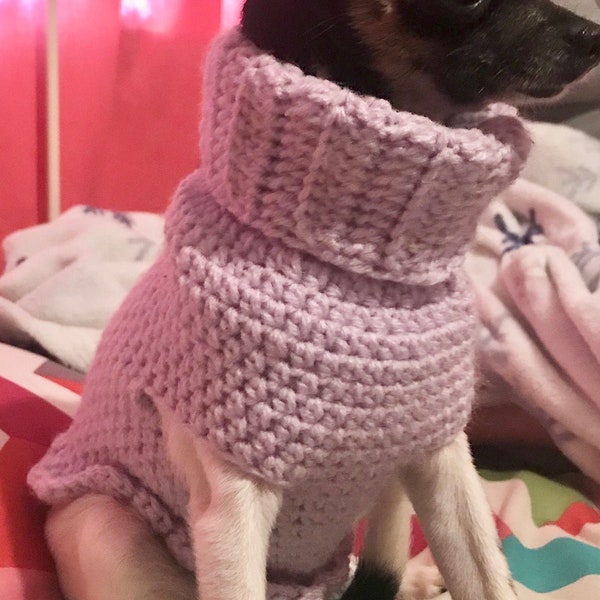 Tea Cup Dog Sweater (Turtle Neck) Pattern Only - INSTANT DOWNLOAD