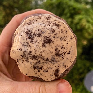 Puede incluir: Un brownie de chocolate cubierto con una capa de glaseado de café y espolvoreado con granos de café.