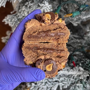 May include: A layered dessert cut in half, held in a gloved hand. The dessert has a dark chocolate filling between layers of light brown, textured cake. Chocolate sweets with nuts are on top.