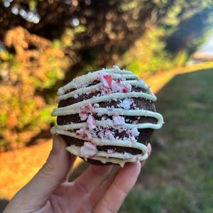 May include: A round, dark chocolate dessert, drizzled with white icing and sprinkled with crushed red and white peppermint candies. The dessert is held in a hand, with a blurred green and gold background.