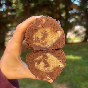 May include: A cross-section of a chocolate cake roll, revealing a light-colored filling with chocolate swirls. The cake has a dark brown exterior and is held against a blurred green background.
