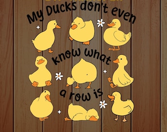 Funny Ducks Snarky Sarcastic DTF Transfer:Sarcastic Funny Design DTF