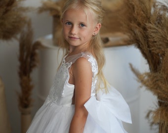 Robe en tulle de fille de fleur, robe bouffante de bébé fille, robe de fille de tutu