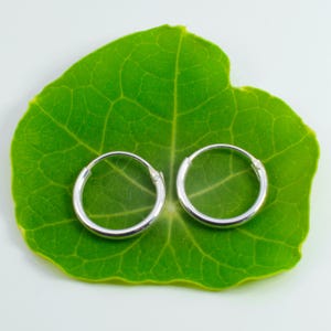 May include: A pair of small, silver hoop earrings. The earrings are displayed on a vibrant green leaf with a textured surface, set against a white background. The earrings are circular and have a polished finish, reflecting light.