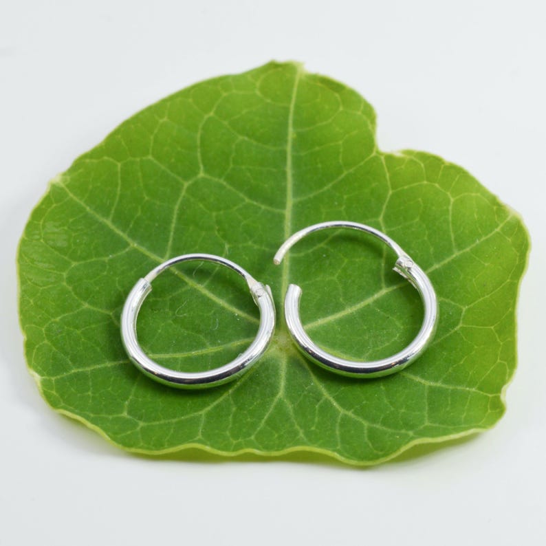 May include: Two small, silver hoop earrings. The earrings are displayed on a large, green leaf with visible veins. The hoops are round and shiny, reflecting light. The earrings are a simple, classic jewelry design.