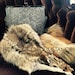 Owner of <a href='https://www.etsy.com/shop/HouseofCircumstance?ref=l2-about-shopname&from_page=listing' class='wt-text-link'>HouseofCircumstance</a>