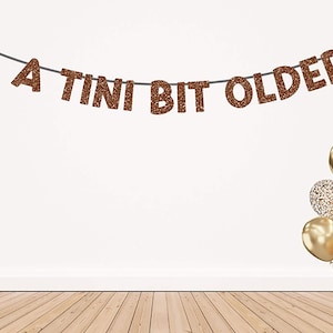 Glitter A Tini Bit Older Banner, Martini Birthday Party, Cocktail Birthday, Party Banner, Word Banner, Phrase Garland, Birthday Decor