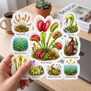 May include: A sticker sheet featuring illustrations of carnivorous plants including a Venus Flytrap, Cape Sundew, Waterwheel Plant, Cobra Lily, Giant Montane Pitcher, Butterwort, Albany Pitcher Plant, and Corkscrew Plant with their names printed below.