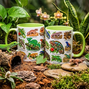 May include: Two white ceramic mugs with light green interiors and handles, each featuring colourful illustrations of various lizard species including geckos, chameleons, and basilisks, with each reptile clearly labelled by its common name.