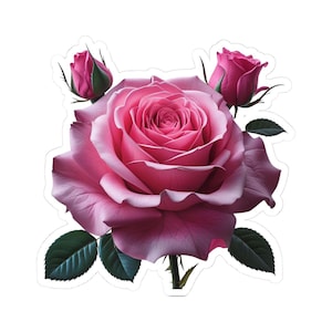 Pink Rose Bloom Stickers, Floral Laptop Sticker, Cute Aesthetic  Décor, Gift for Flower Lovers, Journal Stickers, Rose Stickers Nature