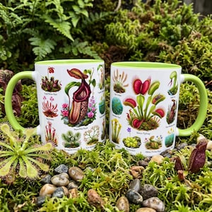 May include: Two white ceramic mugs with light green handles and interiors, each featuring detailed botanical illustrations of various carnivorous plants including Venus flytraps, pitcher plants, and sundews with their corresponding names printed below.