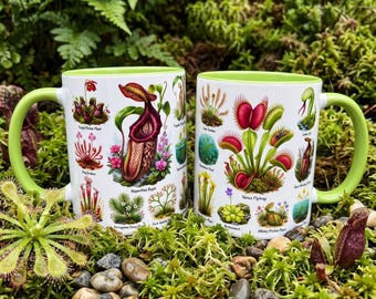 Mok met afbeelding van een vleesetende plant, botanische en educatieve koffiemok, Venusvliegenval en bekerplant, cadeau voor plantenliefhebbers, botanicus, mok met natuur- en plantenmotief.