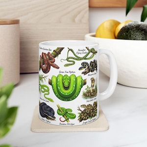 Taza de café con especies de serpientes, regalo para amantes de los reptiles, taza de herpetología con tabla educativa sobre serpientes, regalo para aficionados a la zoología: serpiente pitón y serpiente coral.