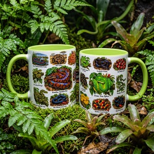 Snake Mug, Reptile Lover Gift, Brazilian Rainbow Boa, Green Tree Python, Gift for Teacher Dad Best Friend Son Coworker Snake Student