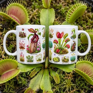 Carnivorous Plant Mug Botanical Illustration Coffee Cup Venus Flytrap & Pitcher Plant Gift for Plant Lover Botanist Mug Nature Plant Decor
