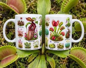 Taza con ilustración botánica de planta carnívora, taza de café con planta carnívora, atrapamoscas de Venus y planta jarra, regalo para amantes de las plantas, taza para botánicos, decoración de plantas naturales