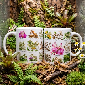 May include: Two white ceramic mugs featuring colorful illustrations of various mantis species, including the Orchid Mantis, Spiny Flower Mantis, and Dead Leaf Mantis, with each insect labeled by its common name in black text.