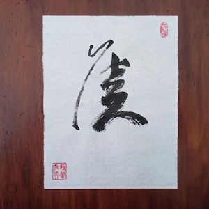 DI ZHAO MENGFU, calligrafia cinese 21x16cm