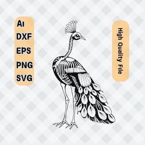 ピーコックSVG | カッティングファイル | Cricut シルエットカットファイル | Cricut - レーザー対応＆高品質