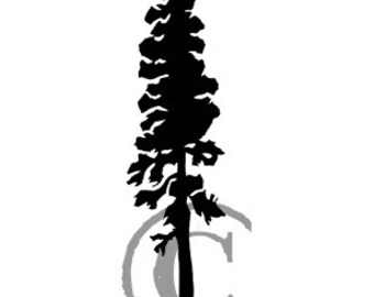 Ponderosa Pine Tree rubber stamp
