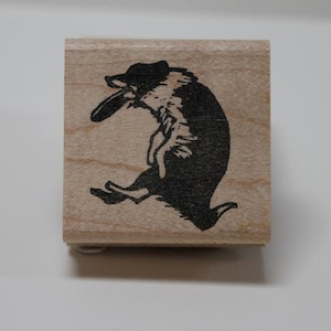 Border Collie Fangen Gummistempel