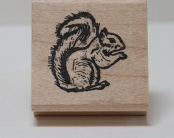 Western Grey Squirrel rubber stamp