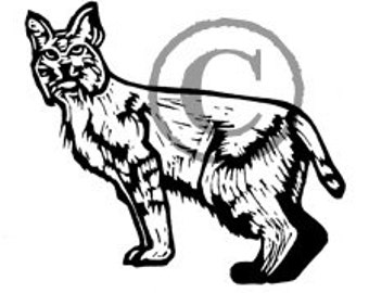 California Bobcat rubber stamp