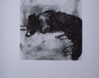 Border Collie Repose 5 - Original Etching