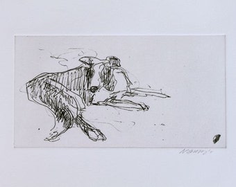 Border Collie quick sketch, original hand pulled etching