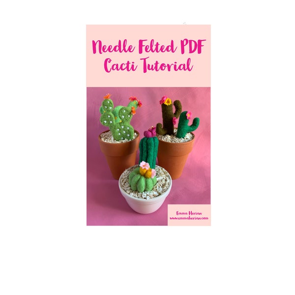 Tutorial PDF Cactus in feltro ad ago Cactus Download istantaneo fai da te