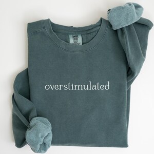 Comfort Colors® Overstimulated Sweatshirt for Mom, Cowboy Frog Shirt, Unhinged Sweater, Weirdcore Clothing, Gen Z Shirt, Weird Stuff Funny