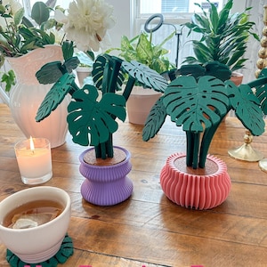 May include: Two potted plants with green leaves in a purple and pink planter. The planters have a ribbed design. The text "New Premium Pots" is at the bottom of the image.