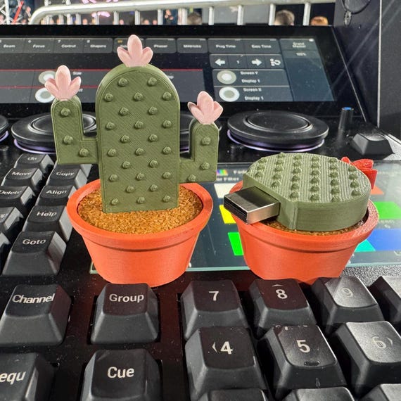 Cute Cactus USB Drive - Saguaro And/or Barrel Cactus Design - 32GB - 3D  Printed With Clay Pot Cap - Unique Desk Accessory - Etsy