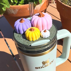以下が含まれることがあります： 紫、ピンク、黄色、白のカラフルなミニチュアかぼちゃのコレクション。茶色の茎があり、水色のスタンレーマグの上に置かれています。マグには金のバンドとスタンレーのロゴがあります。背景には鉢植えの植物があります。