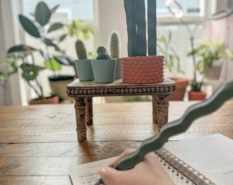 Potted Snake Plant Pen Holder - Desk Toy & Office Organizer - Faux Plant Decor