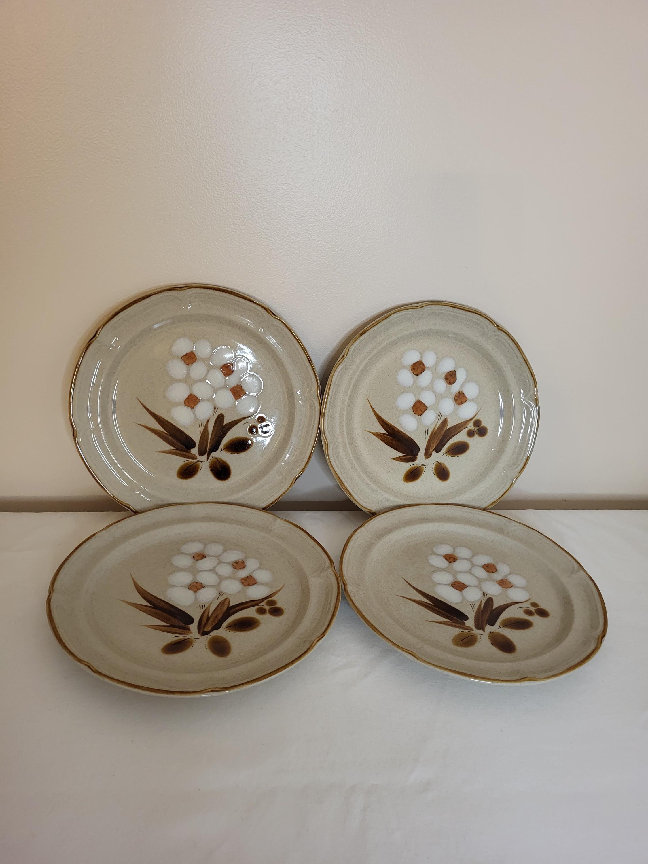 お皿　ハースサイドストーンウェア　10枚 お皿 ハースサイドストーンウェア 10枚 Classics by Hearthside ハース