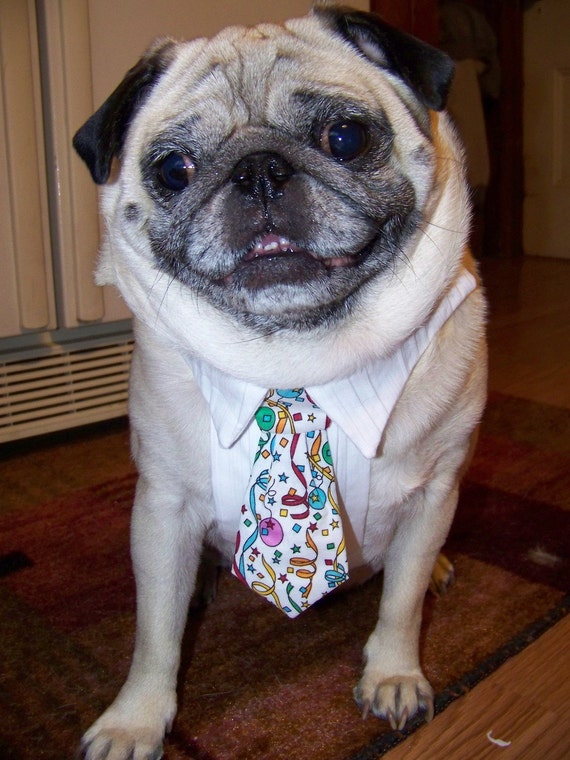 Dog dress shirt discount