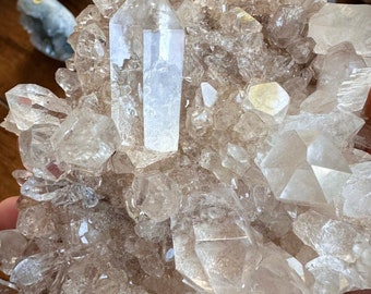 Large Statement Smoky Himalayan Quartz Cluster with Inclusions Grounding Crystal Root Chakra Crown Chakra Home Decor Crystal Unique