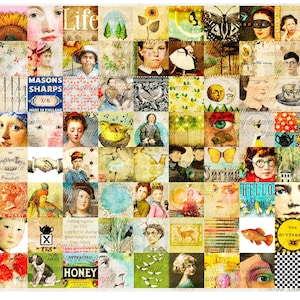 May include: A collage of vintage-style images, featuring portraits, botanical illustrations, and text fragments. The artwork includes a sunflower, a butterfly, and the word "HELLO". The color palette is a mix of warm tones and faded hues.