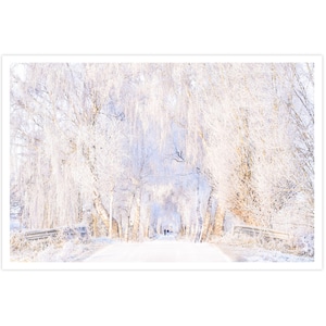 POSTKARTE I Winterlandschaft | Raureif I Natur I Foto I Winter l Bäume | Kunst I Grußkarte I 15x10cm I Geschenk I Weihnachtskarte