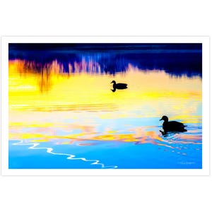 POSTKARTE I Enten | See | Sonnenaufgang I Fotografie I Natur I Foto I blau l gelb l Kunst I Grußkarte I 15x10cm I Geschenk