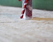 Magical Candy Cane Elf Revival Dust - With 2 Free Printables