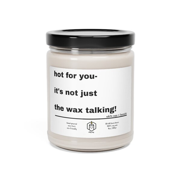 Anniversary Romance Love Home Decor Candle Gift Funny for Her Him Sassy Witty Hot Wax