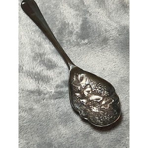 May include: A silver-toned spoon with a detailed floral and fruit design on the bowl. The spoon's handle is slender and curved, and the bowl features grapes and leaves. The spoon is likely vintage or antique.