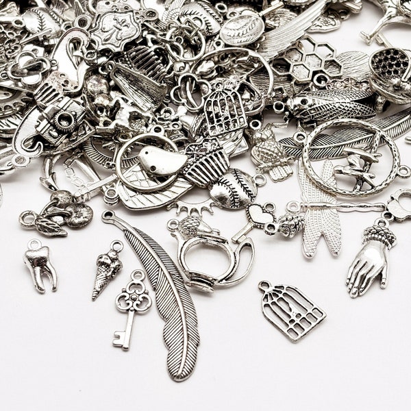 20, 40, or 100 Piece Random Assortment of Bulk Silver Tone Charms, Bulk Grab Bag B201