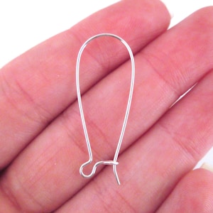 May include: Silver earring hook with a loop at the top and a small hook at the bottom.