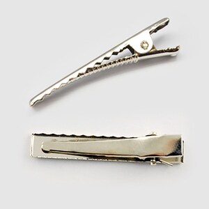 May include: Two silver alligator hair clips. The clips are approximately 5 cm long and have a textured surface.
