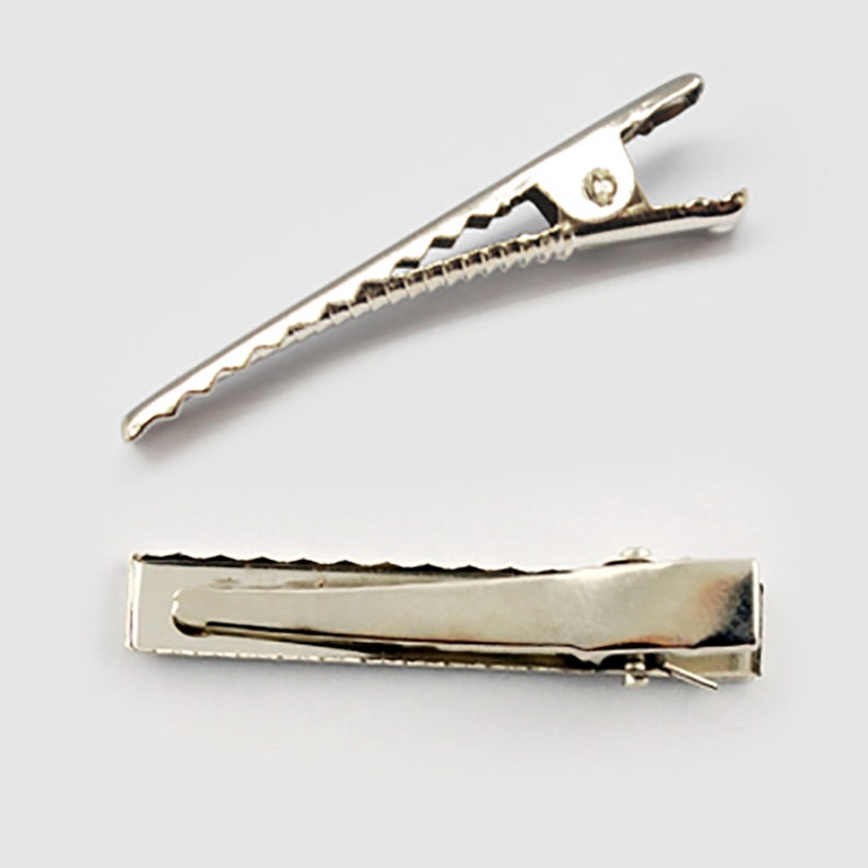 May include: Two silver alligator hair clips. The clips are approximately 5 cm long and have a textured surface.
